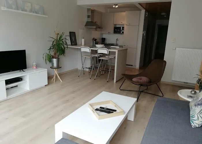 appartement oostende vlak bij zee